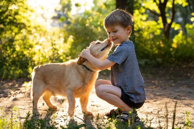 10 Raças de Cães