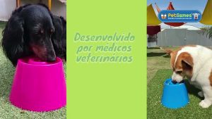 Comedouro lento para cães